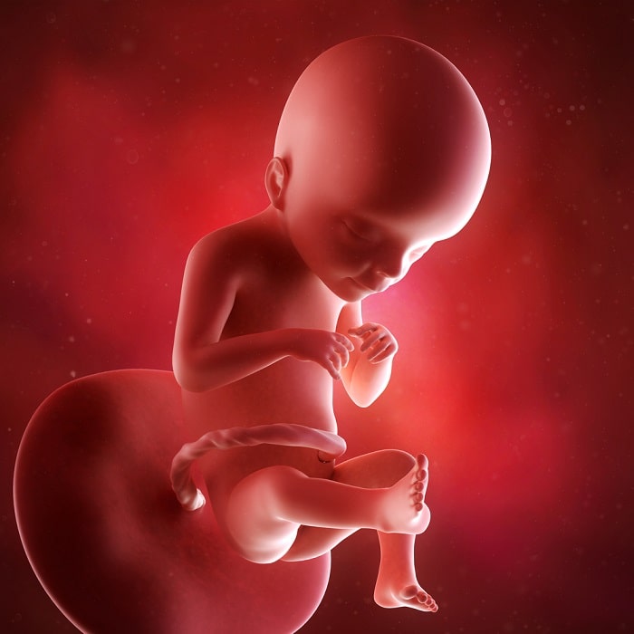 cocodrilo seguramente Penetrar Semana 21 de embarazo: cambios, síntomas y consejos