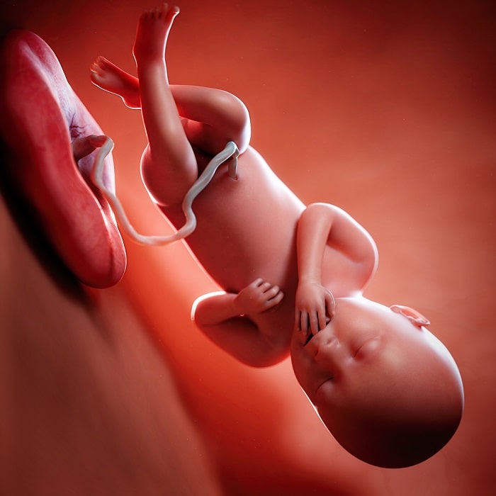 subterraneo Inspirar el primero Semana 36 de embarazo: cambios, síntomas y consejos