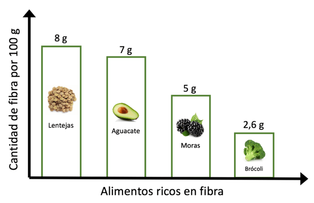 alimentos ricos en fibra
