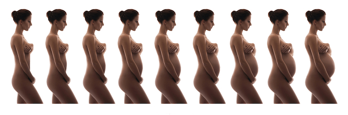 etapas del embarazo