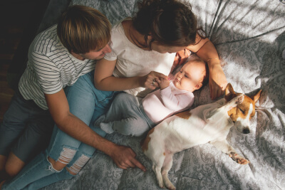 Bebés y perros - família