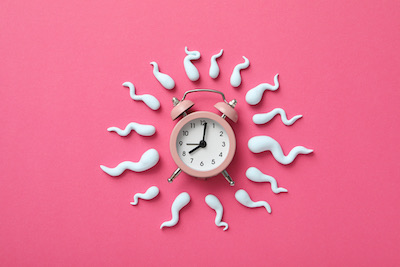Espermatozoides alrededor de un reloj